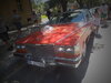 DSC00058.JPG