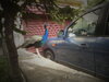 DSC00085.JPG