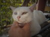 DSC00137.JPG