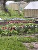 IMG_7220.jpeg