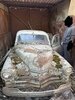 IMG_4430.jpeg