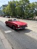 IMG_7438.jpeg