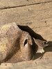 d8K2fJIS3WxpAWCpa9ca-sZELy-9D-jIg8tqFQixkOSmjOQYX0Keur2OuVWaHNi5Jnyz3t_ihXQ5p63cjpwJDDFK.jpg