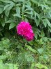 5Q7q6ELCB-cdUmBNsHtgUPpvSFpszqVuww-WgiSuIliDq-6ac3daGj36l3pBg60uKHdHrVtNIAs5p4R1R1SCYkv1.jpg