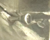 Screenshot 2026-06-27 060633_edited.png