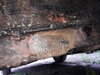 20260728_174226.jpg
