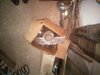IMG_20220831_125235.jpg