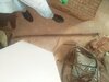 IMG_20220831_125253.jpg