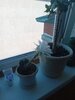 20260807_074019.jpg