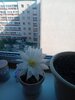 20260807_074027.jpg