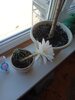 20260807_074039.jpg