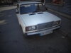 DSC00637.JPG