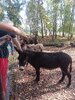 20260919_120806.jpg
